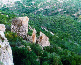 פארק בגין, טיולי משפחות, טיולים עם ילדים, טיול עם ילדים, אטרקציות לילדים